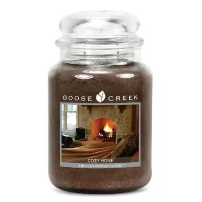 Goose Creek Cozy Home