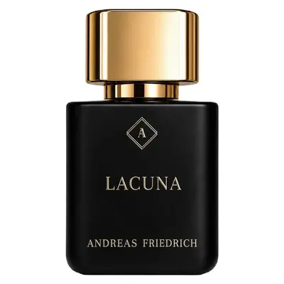 Andreas Friedrich Lacuna