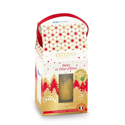 Esteban Berries and Winter Flower Свеча 180 гр