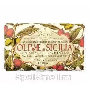 Нести данте Сицилийские оливки для женщин