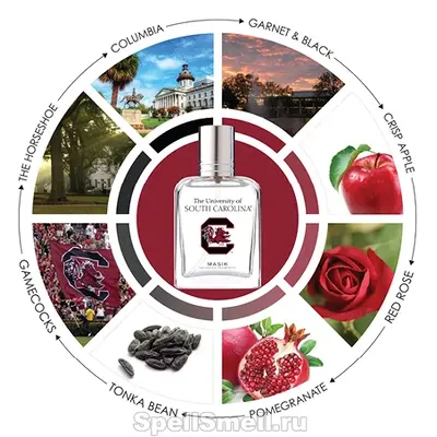 Masik Collegiate Fragrances University of South Carolina for Men