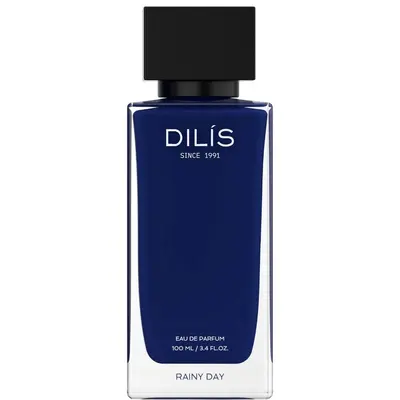 Dilis Day And Night Rainy Day