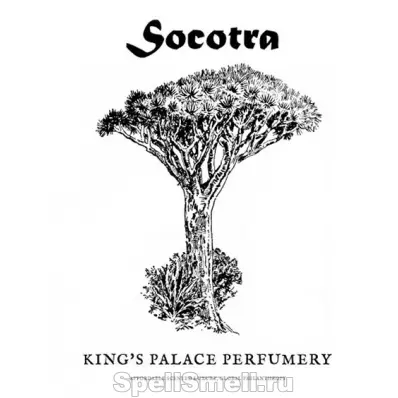 King s Palace Perfumery Socotra