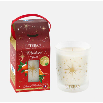 Esteban Frosted Mandarin Свеча 180 гр
