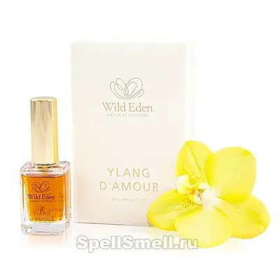 Wild Eden Natural Perfume Ylang d Amour