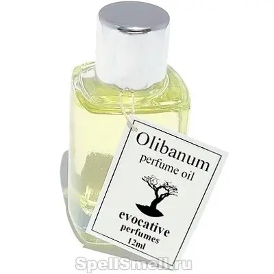 Evocative Perfumes Olibanum