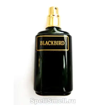 Meshaz Natural Perfumes Blackbird