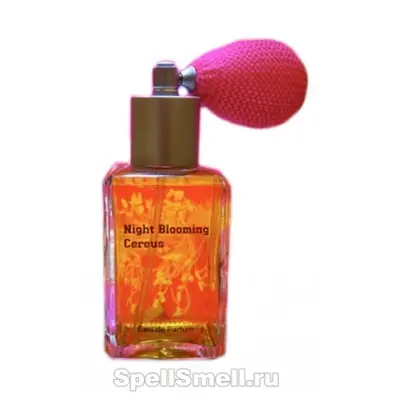 Paragon Perfumes Night Blooming Cereus
