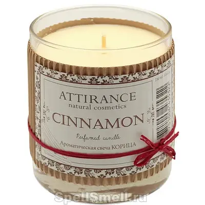 Attirance Cinnamon
