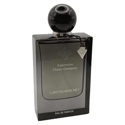 Expensive Chaos Company Can You Hear Me