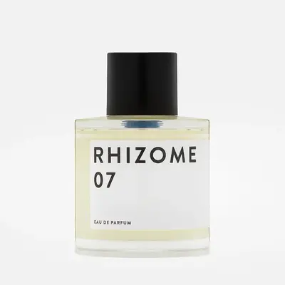 Rhizome 07