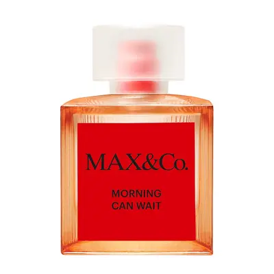 Макс энд ко Морнинг кэн вэйт