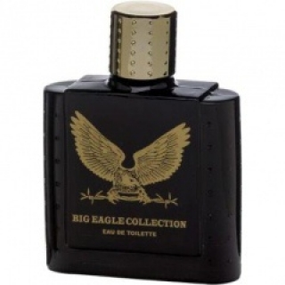 Coscentra BV Big Eagle Collection Black