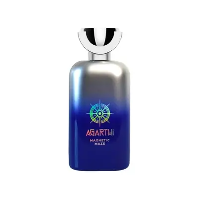Agarthi Magnetic Maze