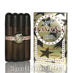 Позитив парфюм Гавана сигара голд для мужчин