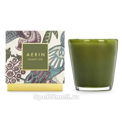 Jacaranda Wood Aerin