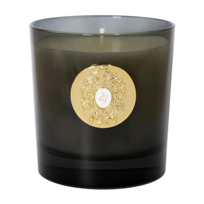 Tiziana Terenzi Chiron Свеча 250 гр