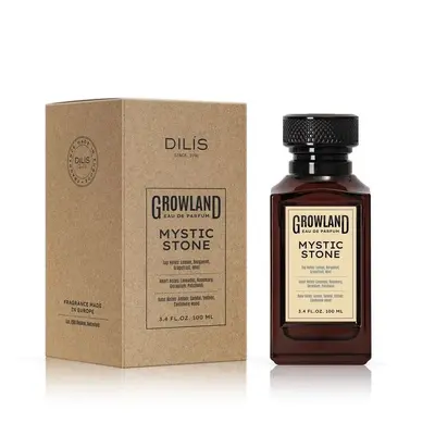 Дилис Мистик стоун для мужчин