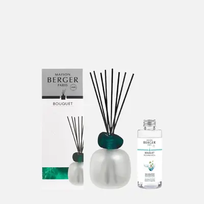 Мейсон бергер Фростид минерал и блу седакшн для женщин и мужчин