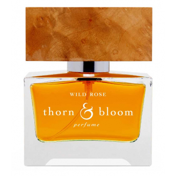 Thorn and Bloom Wild Rose
