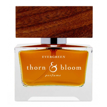 Thorn and Bloom Evergreen