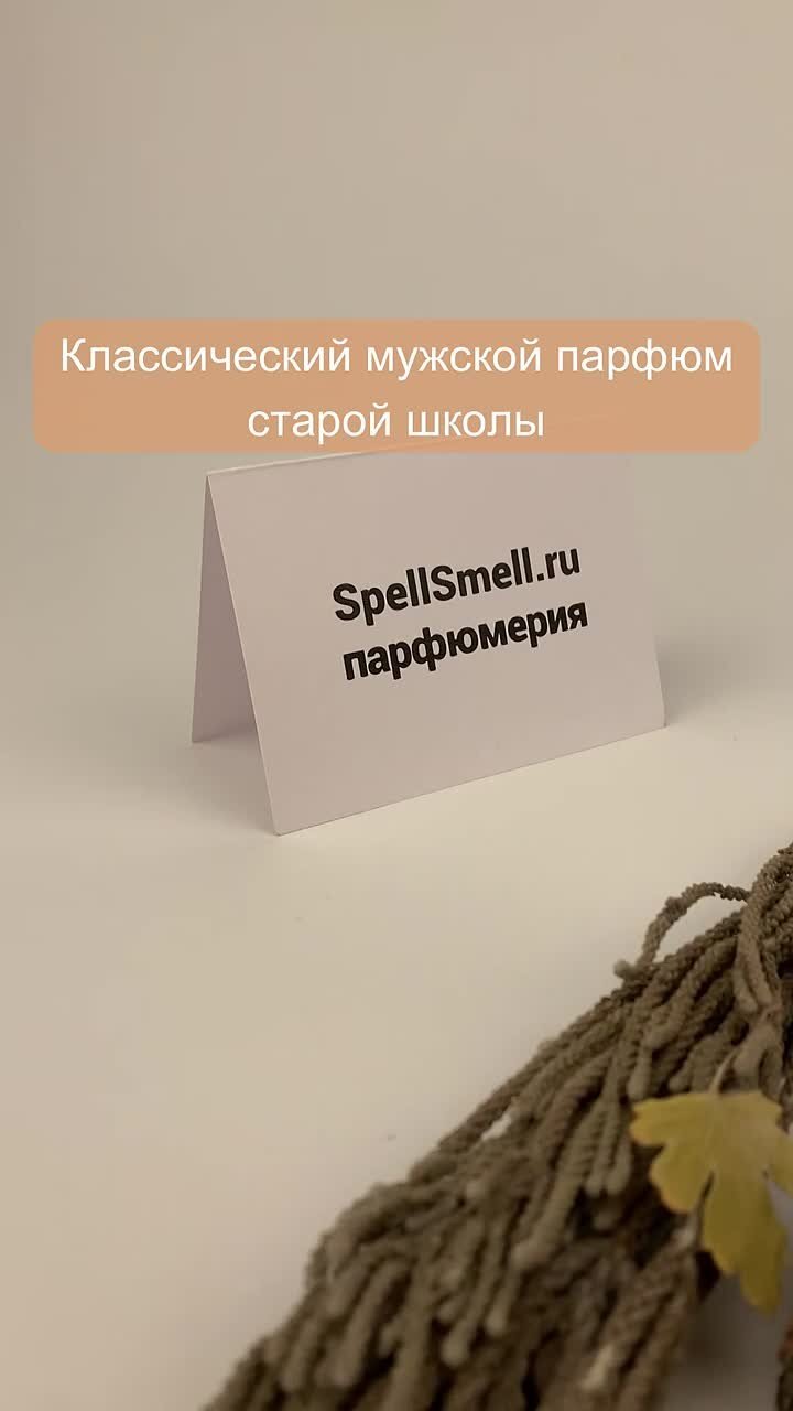 Chevignon Best Of Chevignon краткий обзор
