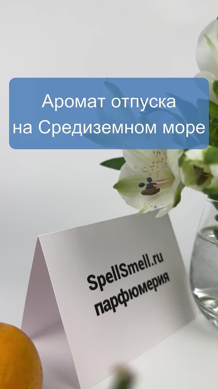 Genyum Musician краткий обзор